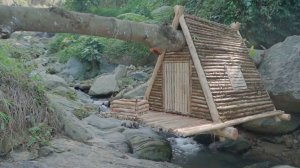 Строю бревенчатый дом на упавшем дереве в лесу у реки. Жизнь в лесу. Бушкрафт