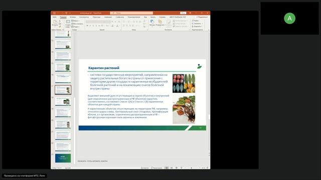 1 гр. Агрономия и селекция в области растениеводства ТГУ 11.11.2025 часть 2 Генетика селекция и семе