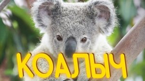 ПРИКОЛЫ ОТ ЧЕЛОЗАВРА 2025 / КОАЛЫЧ / СМЕШНЫЕ ВИДЕО / МЕМЫ