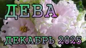 ДЕВА таро прогноз на ДЕКАБРЬ 2025 года.