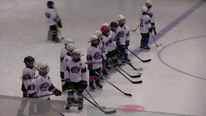 16.11.2025 г.Ступино 2017 год СШОР Боброва - Созвездие Москва