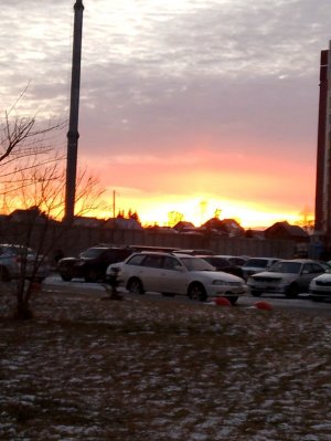 выведись в топ