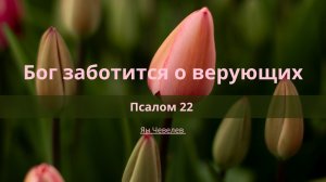 Бог заботится о верующих | Псалом 22 | Ян Чевелев
