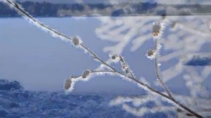 Белоярский ХМАО