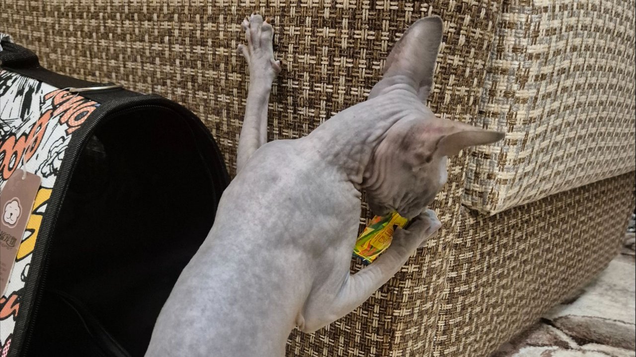 Доигралась))