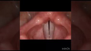 шторы скаты складки