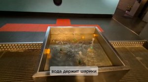 Экспериментаниум. м Сокол.