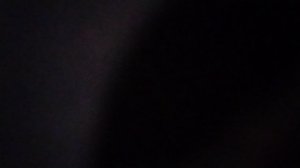 Носики-Курносики