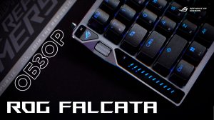 Разделяй и властвуй! | Обзор ROG Falcata