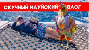 Пил джус, ел куки, делал выводы   FUSEMAN RUSLAN KHUSNIYAROV