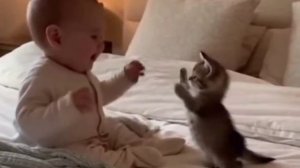 Какая прелесть!