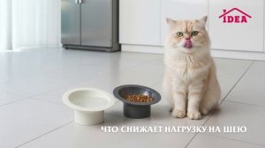 Миска для животных СФЕРА IDEA