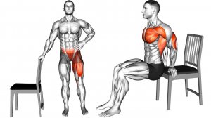 Упражнения на стуле Дома без оборудования!