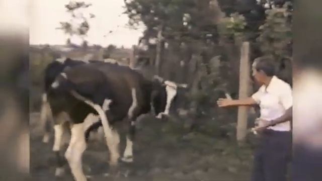 Я ВОооЩЕ НА ВЕРЕВКА ВИСЮ НИКАГО НИТРОГАЮ