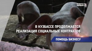 Помощь бизнесу