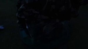 ЗВЕРОДЕТИ И НОЧЬ В ПАЛАТКЕ ИЗ ПЛЁНКИ