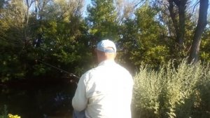 Ловля густеры и леща на мелководье