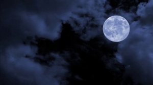 Растоплю зябкий вечер... Сергей Бояров