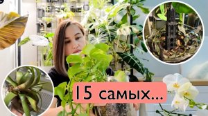 Эстафета от Planttanya: 15 самых … растений