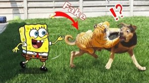 Мультики для детей. Яркие Мультики  . Детские мультики для малышей смотреть