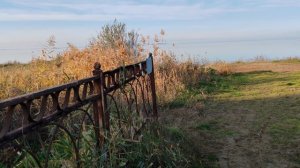 Солнечный день