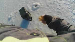 ПЕРВЫЙ ЛЁД  РОТАН ГОЛОВЁШКА