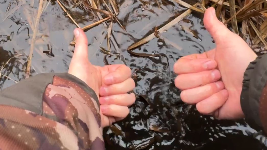 Спиннинг. Бывало и хуже 😄🍁🍂🎣 17.11.2025