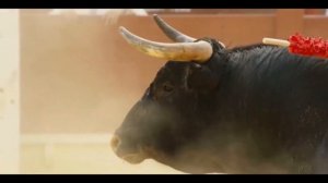 Ария - Тореро