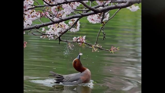Счастье в простом... смотреть онлайн