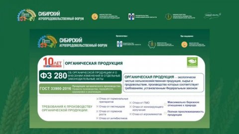 Опыт интеграции органической продукции в питание детей: Роскачество. Сюжет 3