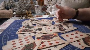 Как поживает Крестовый Король? Какие изменения происходят в его жизни?🥰❤❤❤❤💯💥