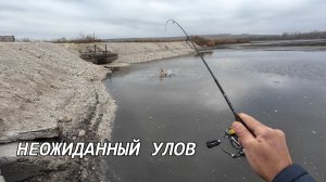 Клюнул ВЕЛИКАН! ТАКИХ РЫБ на МОРМО я ещё не ЛОВИЛ!
