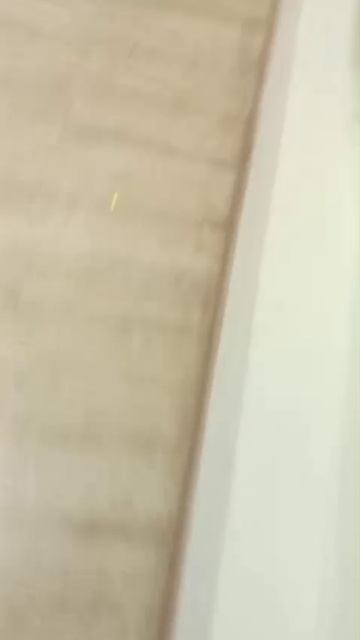 за мной гномик бежит