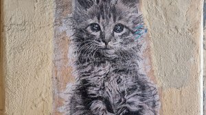 Граффити на ул. Репина: спор о городском стрит-арте продолжается | сюжет Дарьи Красновой