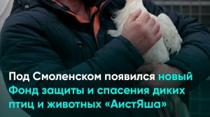 Под Смоленском появился новый Фонд защиты и спасения диких птиц и животных «АистЯша»