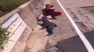 Поиграл с крокодилом