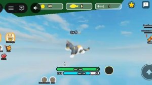 НЕ ЗЛИТЕ КОТА,А ТО ПОЖАЛЕЕТЕ.Roblox