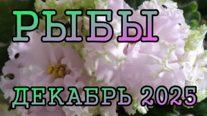 РЫБЫ таро прогноз на ДЕКАБРЬ 2025 года.