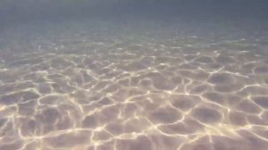 После медового месяца