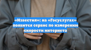 «Известия»: на «Госуслугах» появится сервис по измерению скорости интернета