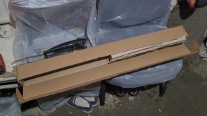 Каштан сьедобный🌰 посадка саженцев👍💪🌳