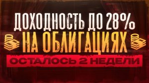 Рынок первички ожил! Новые облигации с доходностью до 28%