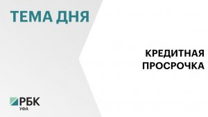 В Башкортостане доля просроченных кредитов в рознице достигла 14,5%