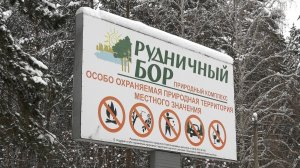 В Кемерове продолжаются работы по оздоровлению Рудничного бора