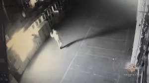 Полицейские задержали подозреваемых в поджоге складских помещений с бытовой техникой