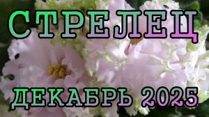 СТРЕЛЕЦ таро прогноз на ДЕКАБРЬ 2025 года.
