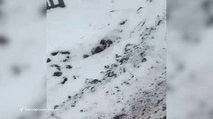 Выпуск новостей 18.11.2025