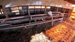 Мелкому плохо ... Мама приедет ! ХУТОР В ЛЕСУ №866