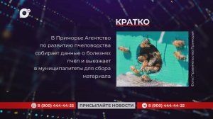 Кратко / 18.11.25