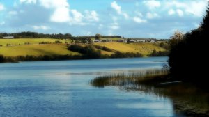 Какую фотокамеру выбрать новичку?